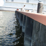 Virginia Shipyard Bulkhead Improvements