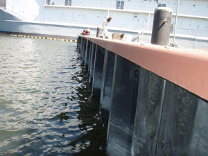 Virginia Shipyard Bulkhead Improvements