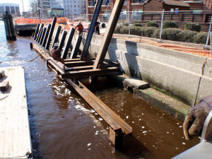 Ash Pond Dyke Repair