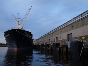 Removal and replacement of 1100 lf of timber pile and timber chock fender system. Resurfacing concrete facia and installation of new Ultra High Molecular Weight Polyethylene ship fender panels.