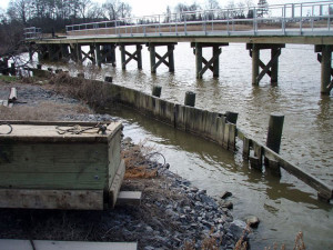 Shoreline Stabilization