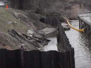 Shoreline Stabilization