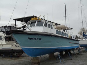 Delta Bay-Nomad II