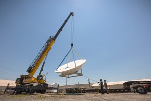 Crofton Crane