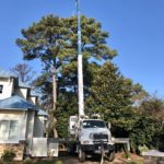 Crofton Crane Rental & Rigging's 40-ton Manitex removing tree at residence.